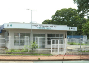 Especialidades, agendamentos: como vai funcionar a clínica veterinária pública de Ribeirão Preto