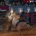 Mineiro tira 88,25 e domina 1ª noite da montaria em touros em Americana